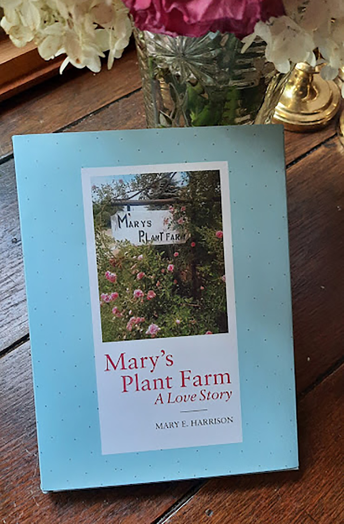 Mary's plant farm